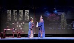 大型传统锡剧《双珠凤》全剧下载 - 武进锡剧团经典演出资源