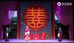 九宝莲