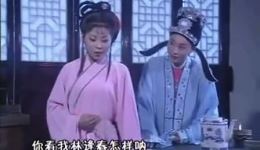 豆腐女风流记