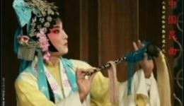 小尼姑思春