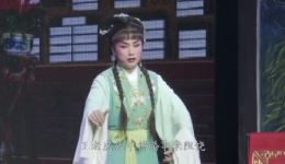 越剧《王老虎抢亲》全剧下载_诸暨越剧团经典演绎,高清字幕完整呈现 越剧《王老虎抢亲》全剧下载_诸暨越剧团经典演绎,高清字幕完整呈现