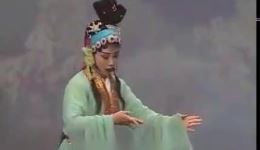 河北梆子《青蛇传》高清资源下载,奇幻戏曲剧情,沉浸式视听体验 河北梆子《青蛇传》高清资源下载,奇幻戏曲剧情,沉浸式视听体验