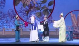 评剧经典《花为媒》全剧资源下载，新凤霞赵丽蓉主演，喜剧佳作在线获取