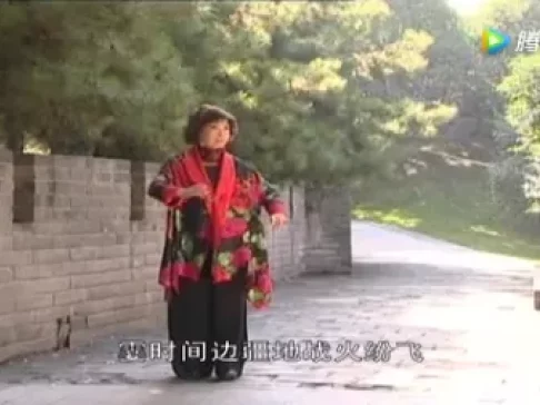 秦腔名家郝彩凤个人演唱专辑，经典秦腔名段在线下载，领略名家风采