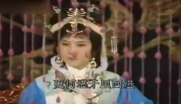 辽宫花溅泪