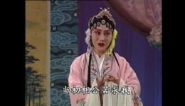 茂腔经典《桃花庵》高清戏曲资源下载,山东特色戏曲名剧在线获取 茂腔经典《桃花庵》高清戏曲资源下载,山东特色戏曲名剧在线获取