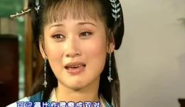 越剧经典《楼台会》高清下载 卢叶东王依丽演绎凄美爱情名段下载