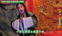 魏县四股弦《骂殿》冯保林王瑞主演,经典戏曲高清下载,地方剧种资源速领 魏县四股弦《骂殿》冯保林王瑞主演,经典戏曲高清下载,地方剧种资源速领