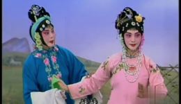 小姑不贤