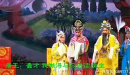 楚剧《打金枝》字幕版在线观看下载,经典戏曲资源高清呈现 楚剧《打金枝》字幕版在线观看下载,经典戏曲资源高清呈现