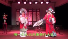 打金枝-闯宫