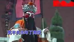 斩黄袍