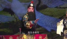 河南省海宣池曲剧团2019全国戏迷联谊会全场视频_曲剧经典联谊会在线观看 河南省海宣池曲剧团2019全国戏迷联谊会全场视频_曲剧经典联谊会在线观看