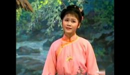 黄梅戏《砂子岗》高清全集下载 - 胡玉洁程小君主演经典戏曲资源下载