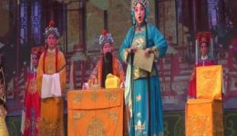 豫剧经典《花打朝》全场戏在线观看 关美利领衔主演 传承马金凤艺术精髓