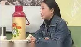 安徽民间小调《都是姐夫的错》上集资源下载，经典家庭伦理戏曲全集观看