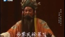 豫剧《金殿风云》全剧下载，贾廷聚精彩演绎宫廷权谋大戏下载