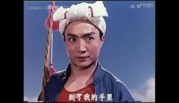平原作战