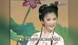 挑女婿