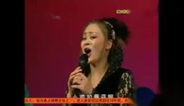 魏三何晓影二人转《野花》下载，东北二人转说唱，搞笑好听超有意思下载