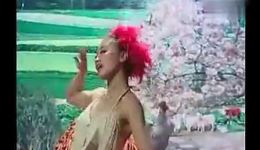 猪八戒采野花 采花十三香