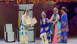 评剧《桃花庵-二庵》吕晓天王爽主演，经典传统戏曲选段在线下载下载