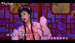 花笺记