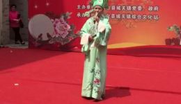 推剧:李效兰《三月里小鸟鸦》 推剧:李效兰《三月里小鸟鸦》