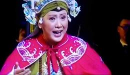 杨门女将选段，趁月光瞭敌营山高势险