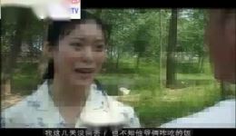 豫剧《风流弟媳》全集下载 - 经典家庭伦理戏曲资源在线观看 豫剧《风流弟媳》全集下载 - 经典家庭伦理戏曲资源在线观看