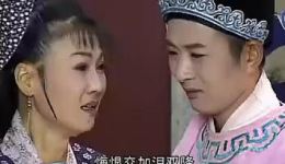 庐剧《赵五娘上京》杨青霞王小五主演，经典传统戏曲在线下载下载