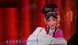 绣鞋记