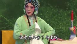 评剧《桃花庵》2-2王冠丽主演高清资源下载｜凄婉爱情故事全剧呈现下载