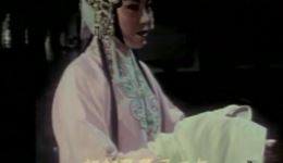 山东梆子《墙头记》下载刘君秋经典演绎,醇美唱腔呈现孝道题材戏曲佳作 山东梆子《墙头记》下载刘君秋经典演绎,醇美唱腔呈现孝道题材戏曲佳作