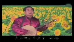 三女婿拜寿
