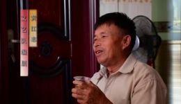 桂南采茶戏《从寂寥中归来》下载，经典传统戏曲资源，领略独特乡土艺术魅力