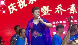 西调经典《八郎刺萧》乔素霞精彩演绎，杨家将忠勇故事在线下载