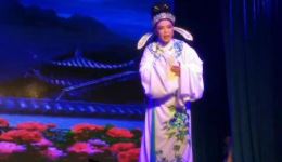 真假驸马