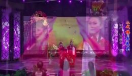 孔雀东南飞