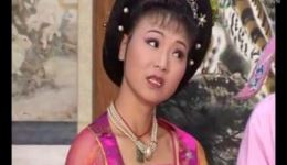 庐剧《尼姑妈妈》全集高清下载 - 昂小红李小平主演经典剧目资源下载