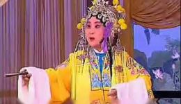 打金枝