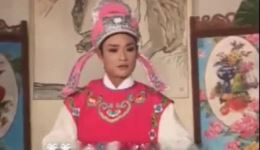 庐剧《想不到的婚配》杨大玲潘学胜主演，赵三何大翠演绎，民间婚恋题材戏曲下载下载
