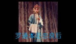 花打朝