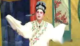 孪生趣事