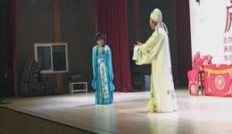 庐剧《郑小娇》选段资源下载，周文成徐菲精彩演绎，经典戏曲不容错过下载