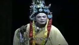 荔枝换绛桃