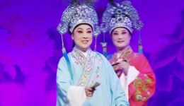 庐剧《十八相送》选段下载王继红刘力经典演绎，梁祝惜别深情呈现下载