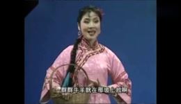 二大妈看病