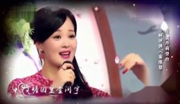 苏州评弹《秦淮景》选段下载裘丹莉吴侬软语演绎,品江南风雅 苏州评弹《秦淮景》选段下载裘丹莉吴侬软语演绎,品江南风雅
