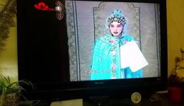 大弦戏经典《海里花》在线下载,领略传统戏曲艺术魅力 大弦戏经典《海里花》在线下载,领略传统戏曲艺术魅力